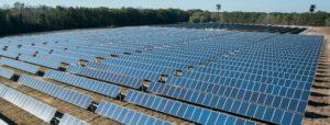 Paneles solares. Energía renovable SAESA Energía