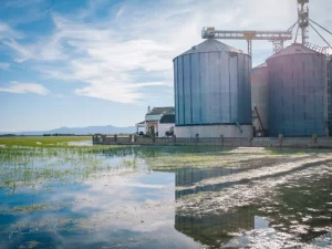 exportaciones bioenergéticas